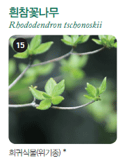15 흰참꽃나무, 희귀식물(위기종)