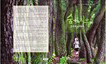 산림치유체험수기수상작모음집 표지