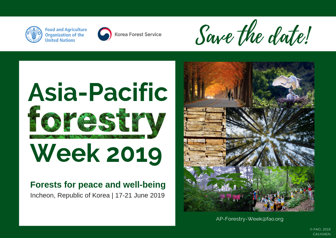 KFS hosts the 4th Asia-Pacific Forestry Week