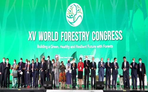 XV World Forestry Congress Ends with Great Success