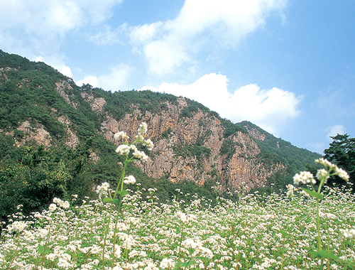 Gubyeong Mountain