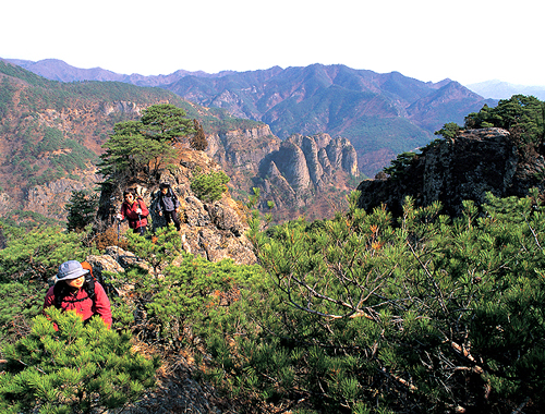 Juwang Mountain