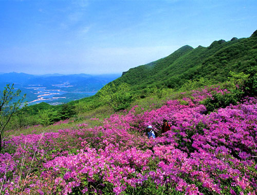 Hwangmae Mountain