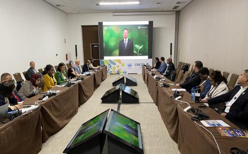 Korea Forest Service and UNCCD Hold Panel Discussion on “Success Stories of the ...
