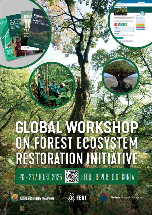 FERI Global Workshop Open Session