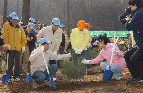 Planting for Comercial Woods 이미지1