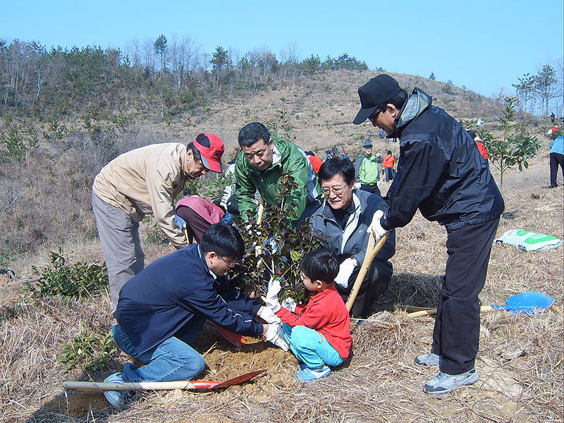 Tree Planting for the global environment 이미지1