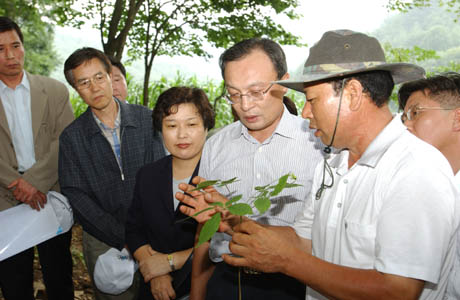 Prime Minister Lee Hae-chan Visits Cultivated Ginseng Farms 