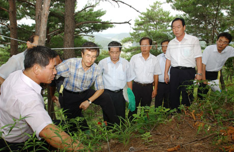 The Chief of the KFS visits the experimental site for cultivating pine mushroom 