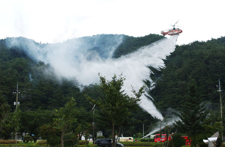 Not Another Yangyang Forest Fire 