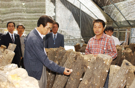 The Chief of the Korea Forest Service Examines the Yield of Oak Pine Mushrooms 