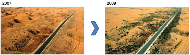 2007 Desert > 2009 Greenbelt