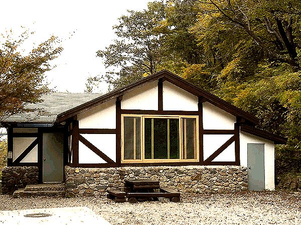 House in forest 3
