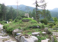 Yumyeong-san Recreation Forest