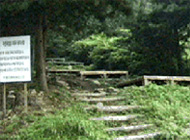 Jungmi-san Recreation Forest