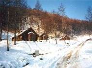 Saneum Recreation Forest