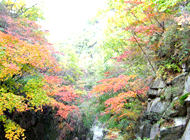 Un-ak-san Recreation Forest