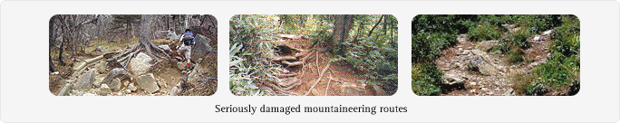 Seriously damaged mountaineering routes