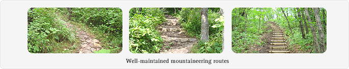 Well-maintained mountaineering routes