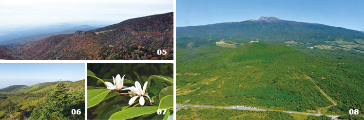 Hannam Experimental Forest image(Num. 05, 06, 07, 08)