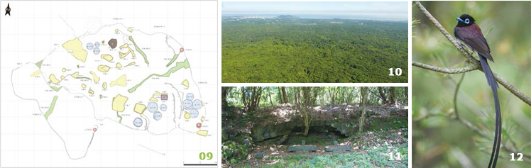 Hannam Experimental Forest image(Num. 09, 10, 11, 12)