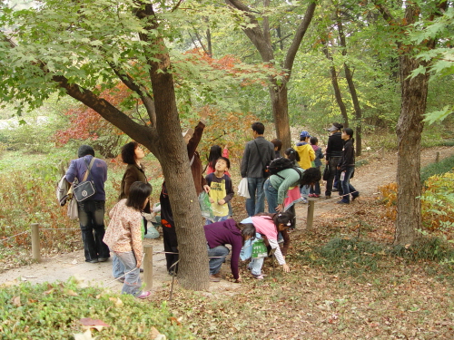 National Institute of Forest Science - Research Project > Research ...