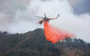 Cutting-Edge Forest Fire Response System (WFC)