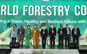 Ministerial Forum on Forest Finance (XV WFC)