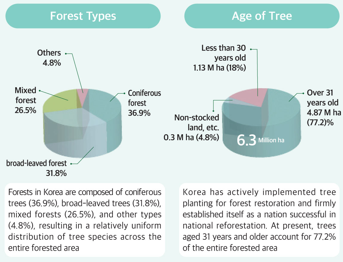 Forest Types, Age of Tree