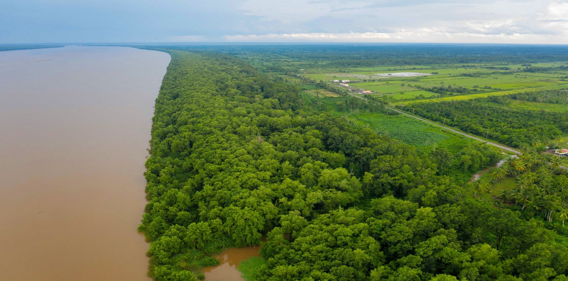 KFS Expands Mangrove Forest Restoration to Guyana: Spreading Advanced Forest Technology to South America 이미지2